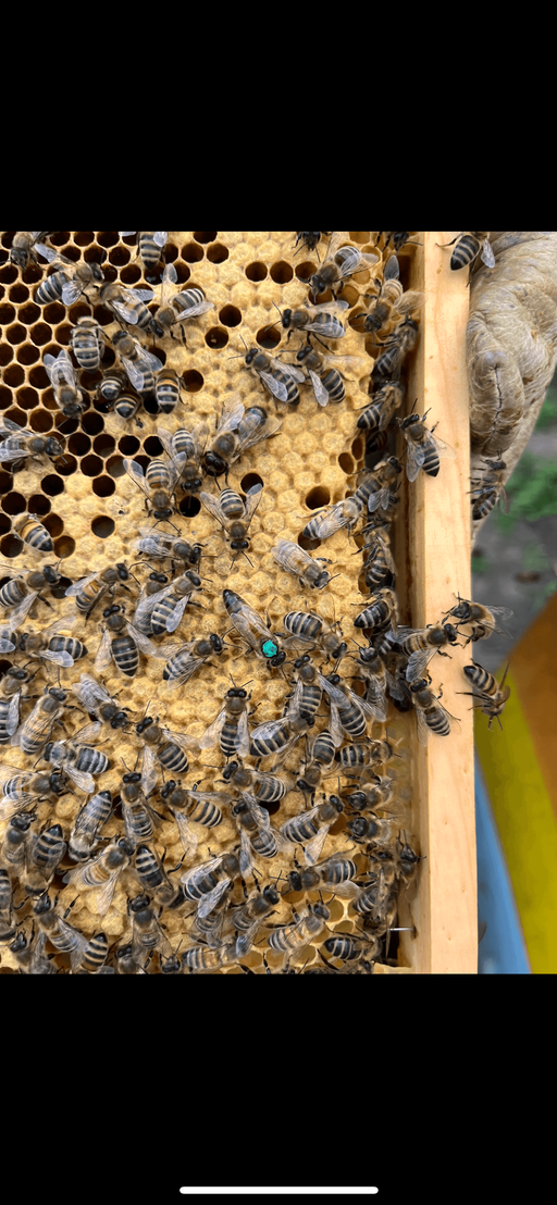 Endlich wird es warm