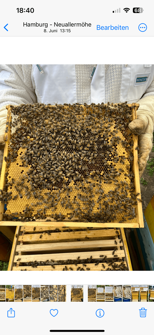 Endlich wird es warm Bild 1