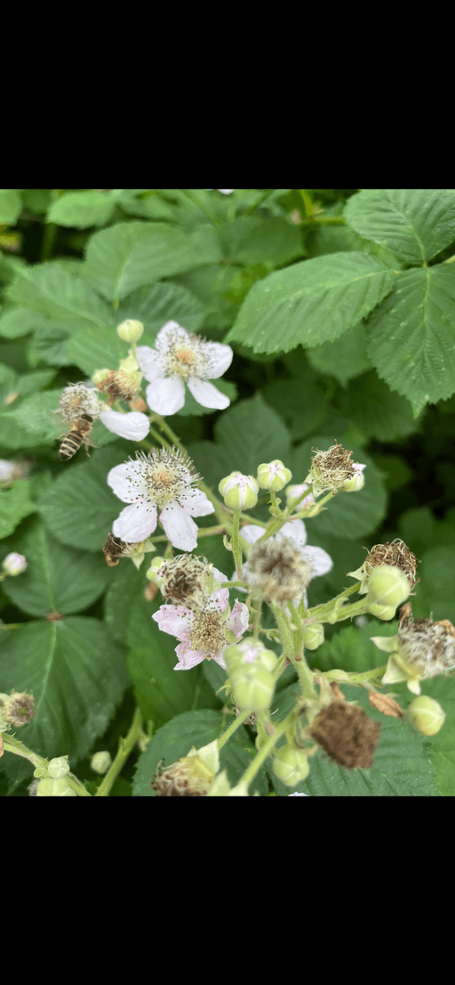 Endlich wird es warm Bild 2