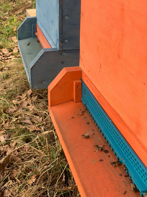 Zufüttern für einen Frühstsart im Frühling