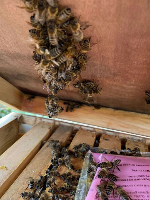 Der April macht was er will. Bild 3