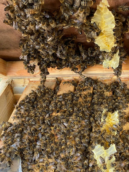 Der April macht was er will. Bild 4