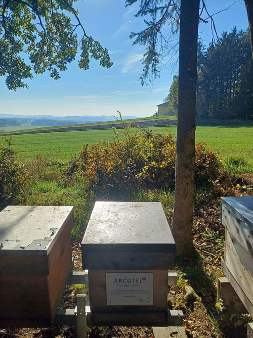 Herbst Ruhe für den Imker