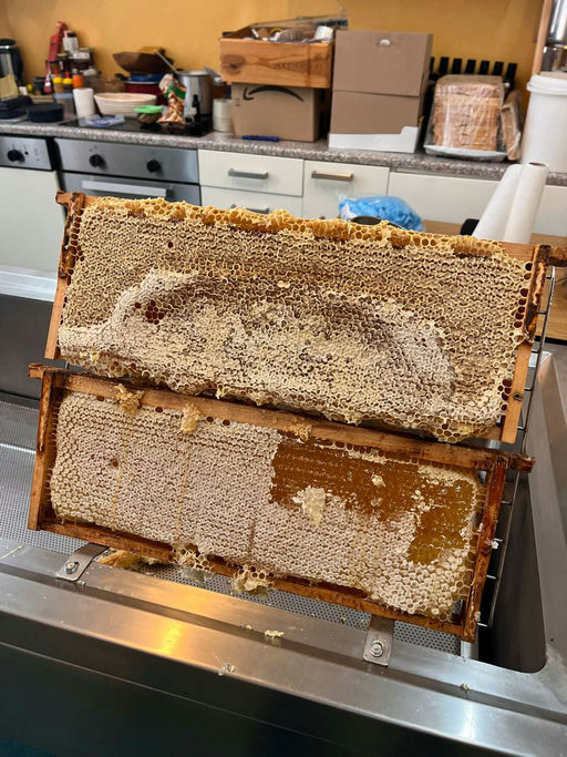 fleißige Bienen Bild 1