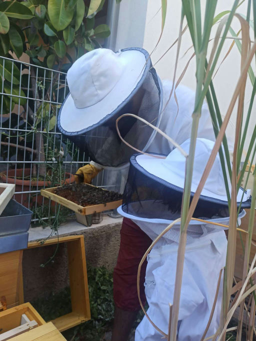 Nach-Urlaubs-Kontrolle und Spätsommerpflege