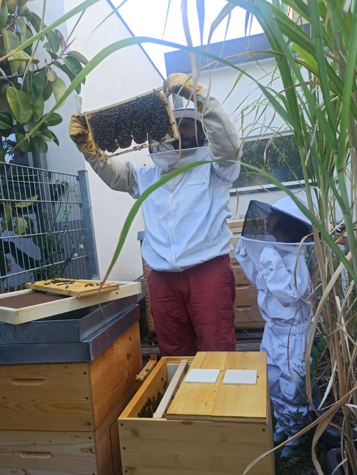 Nach-Urlaubs-Kontrolle und Spätsommerpflege Bild 1