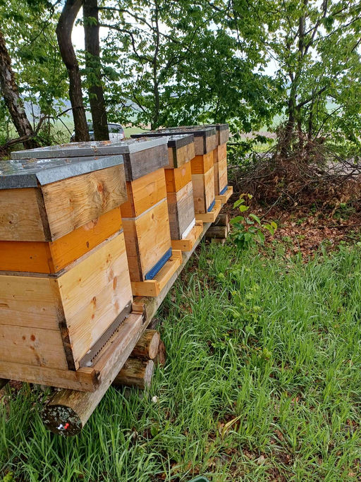 April April der macht was er will