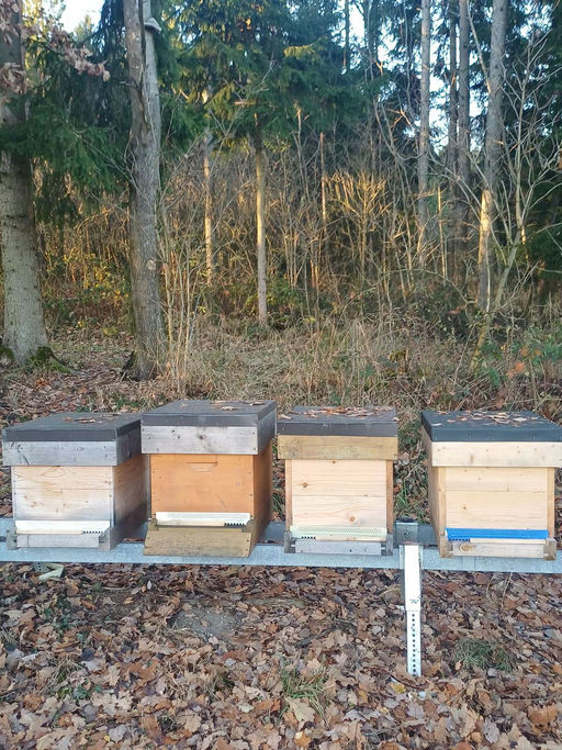 Ein ruhiger Monat Bild 1