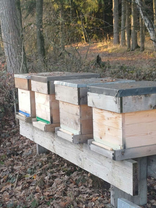 Ein ruhiger Monat Bild 2