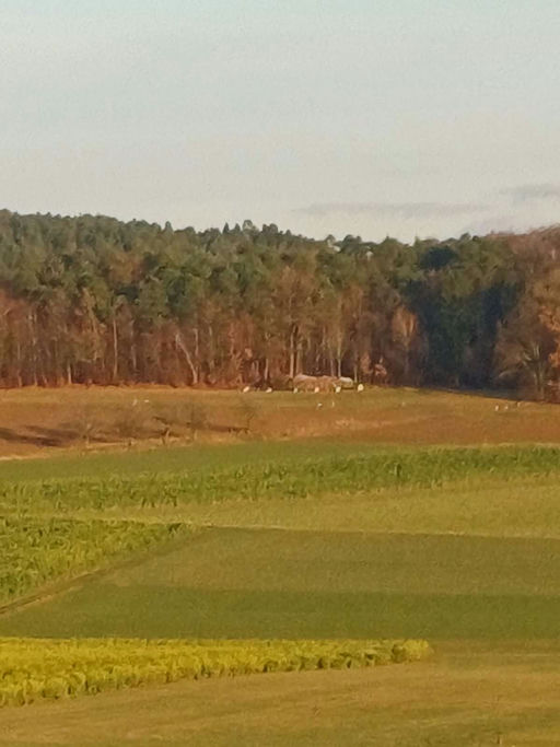 Ein ruhiger Monat Bild 3