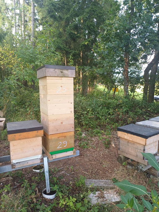 Juli-Erntezeit Bild 1