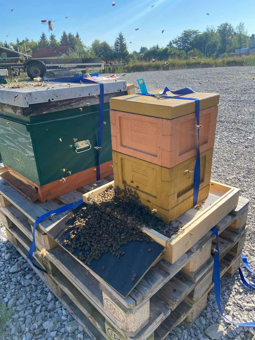 Es läuft nicht immer glatt Bild 1