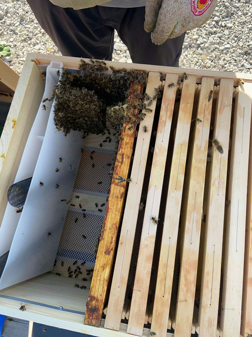 Es läuft nicht immer glatt Bild 2