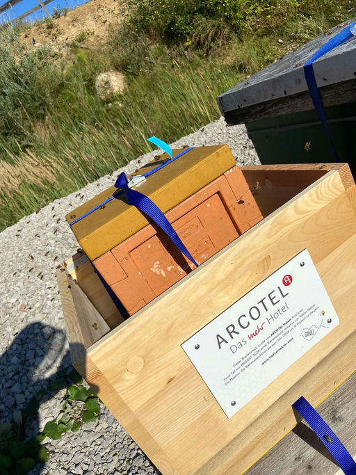 Es läuft nicht immer glatt