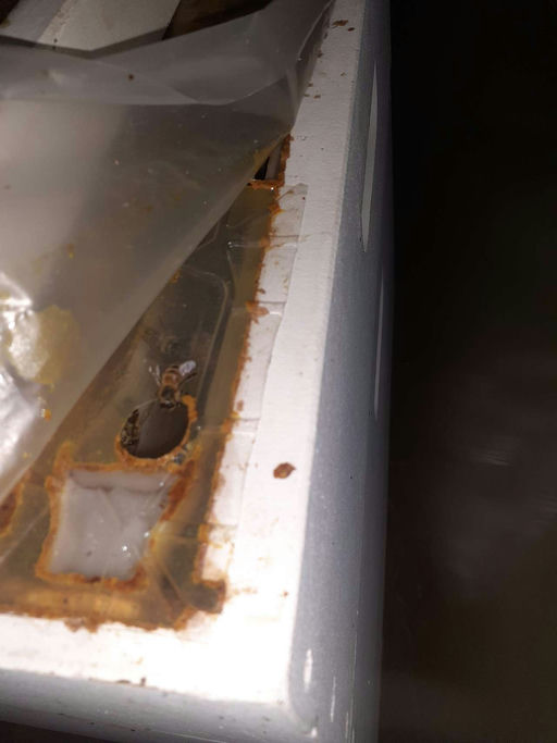 Futter, Futter, Futter