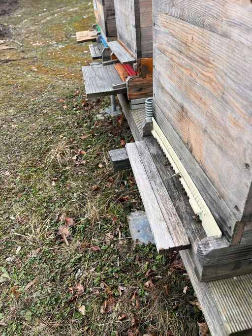 langsam geht es wieder los