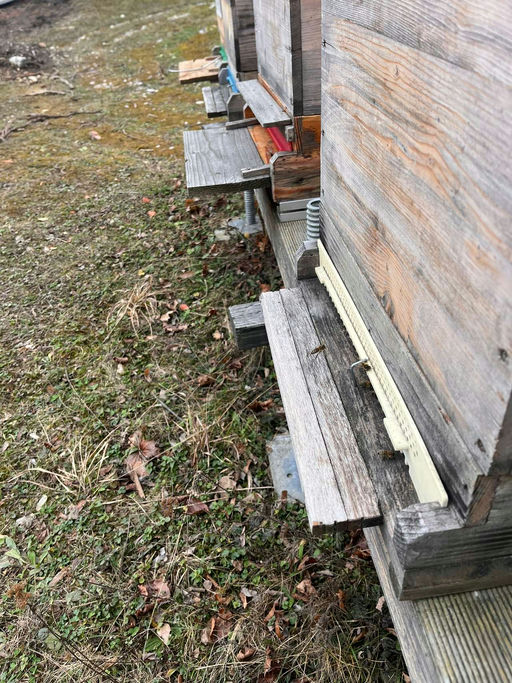 langsam geht es wieder los