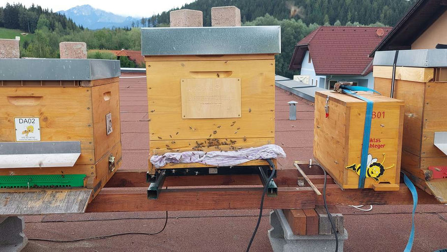 Fertig Auffüttern und Varroabehandlung mit Oxalsäure verdampfen