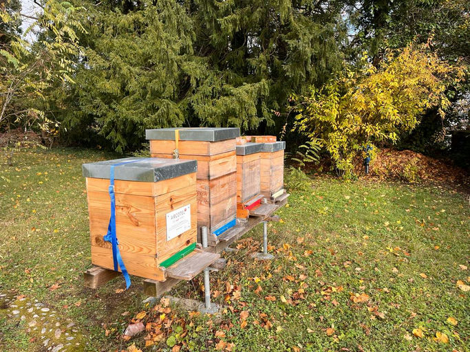 es wird ja doch noch kalt