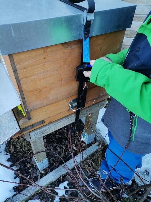 letzte Arbeiten vor der Einwinterung Bild 2