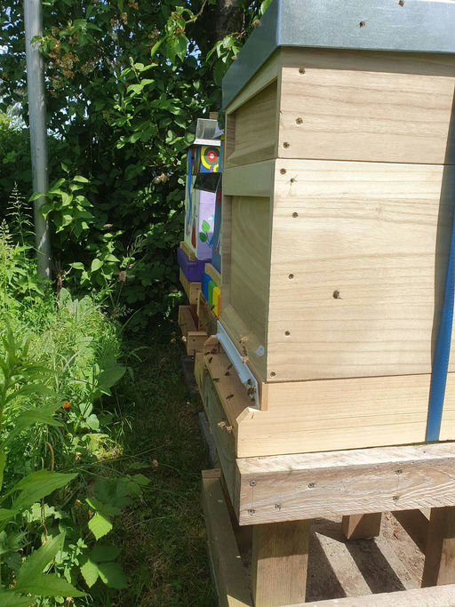 Die bienen sind eingetroffen