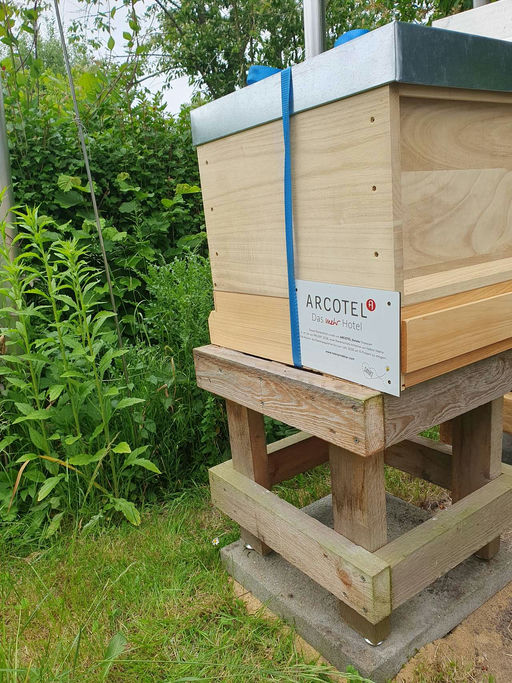 Die bienen sind eingetroffen