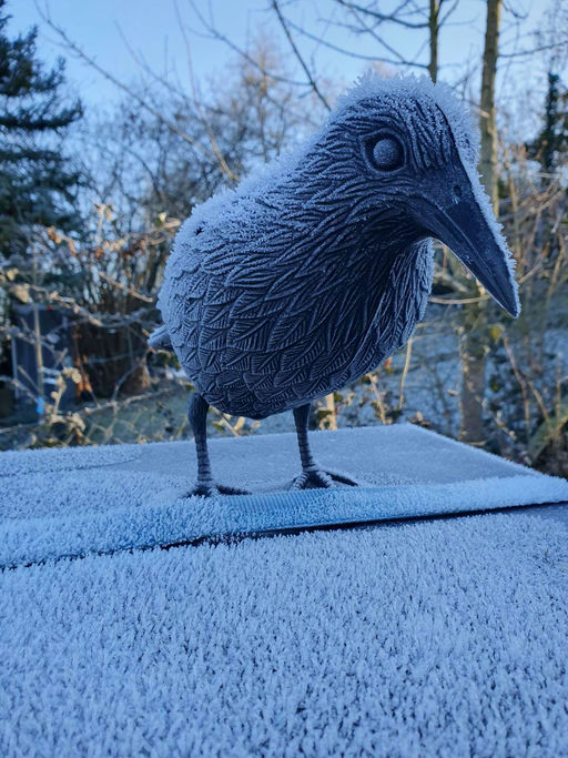 Abschliessende Behandlung und Winterruhe