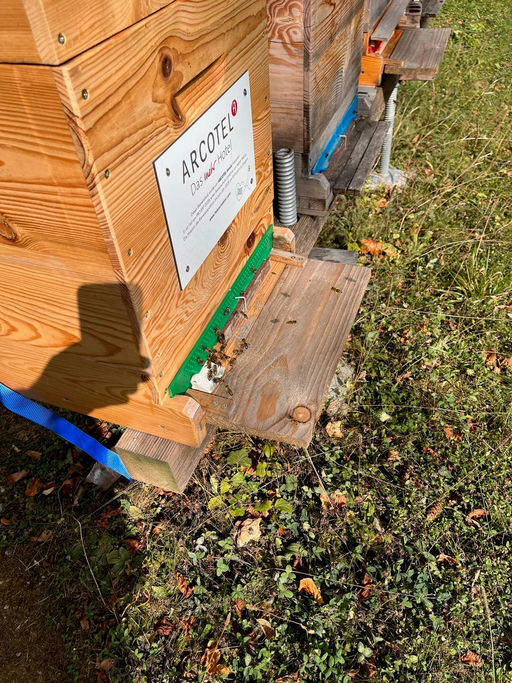 Ein Herbst wie ein Sommer Bild 1