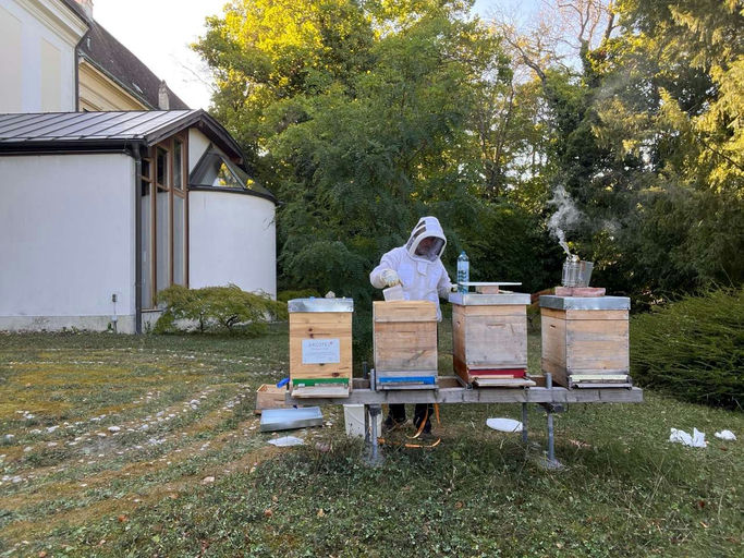 Ein Herbst wie ein Sommer Bild 2