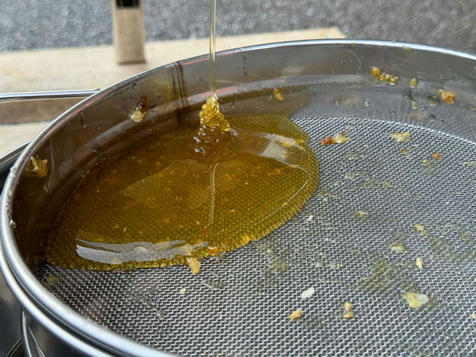 Honig Schleudern 🍯 Bild 1