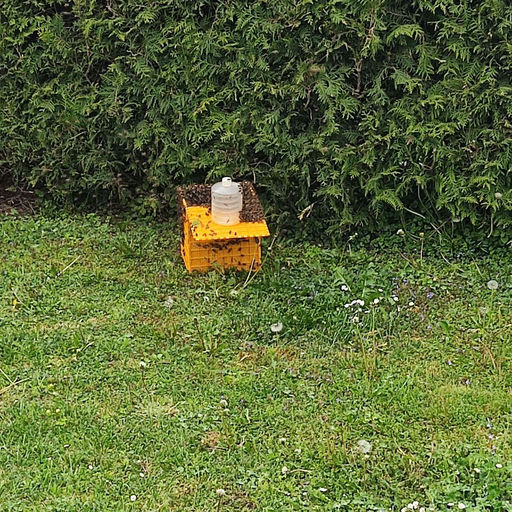 Ein Mini-Bienenhaus entsteht