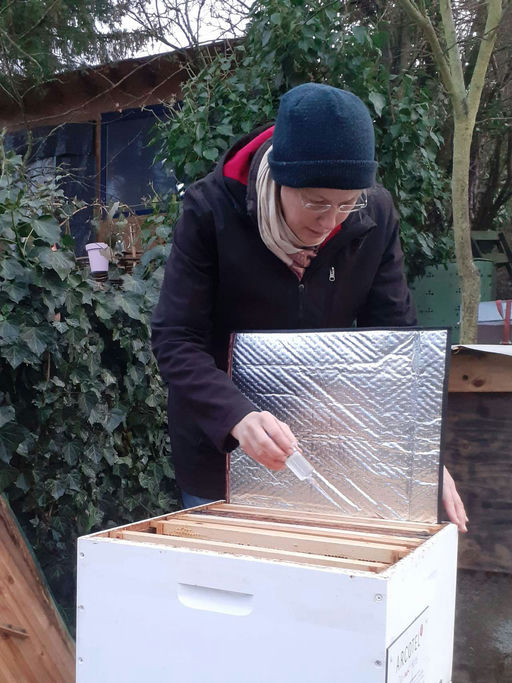 Restentmilbung zwischen den Jahren