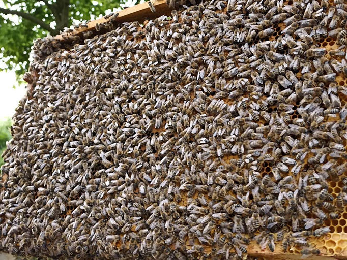 Mai - ein starkes Monat Bild 1