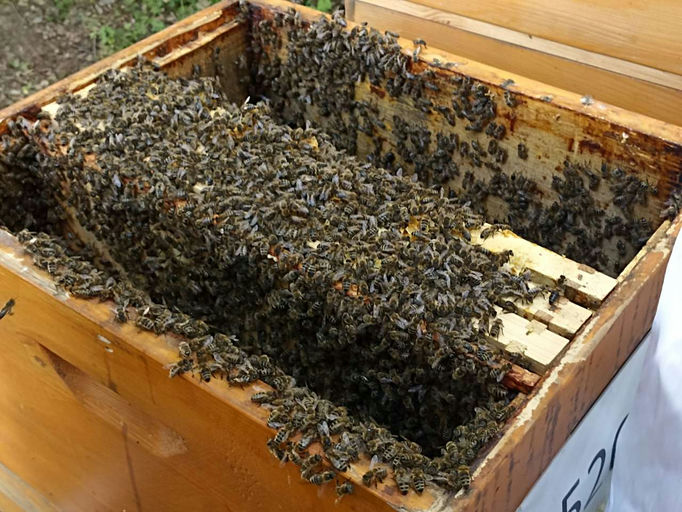 Mai - ein starkes Monat Bild 2