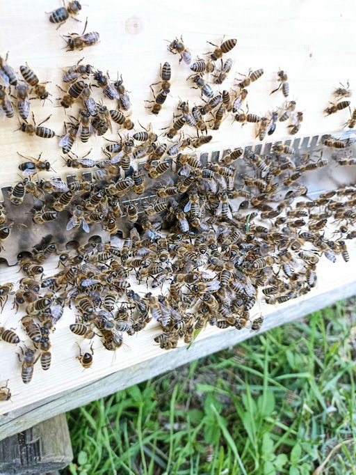 Mai - ein starkes Monat