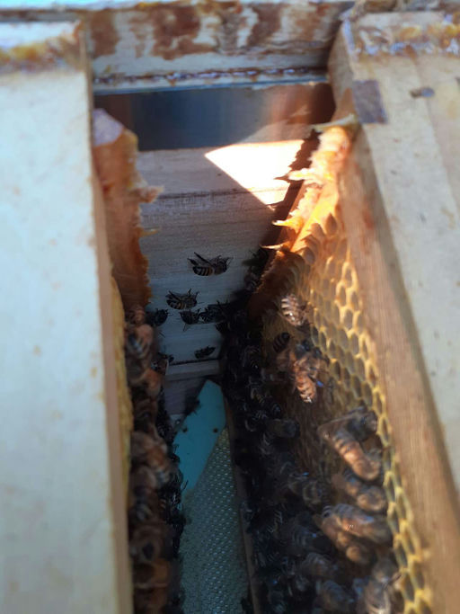 Wintervorbereitungen Bild 1