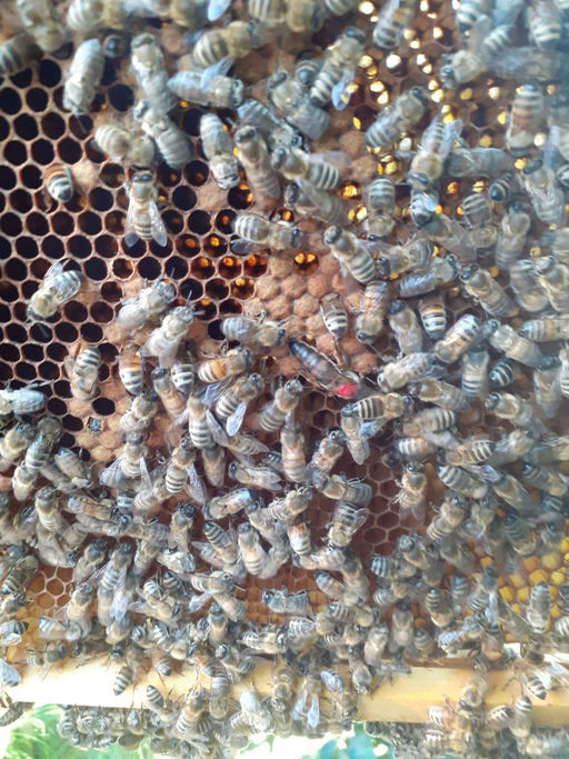 Wintervorbereitungen Bild 2