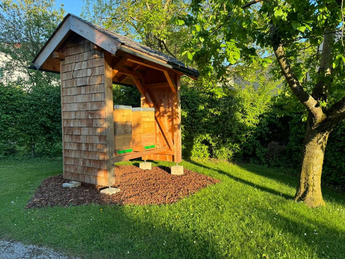 Gut gefüllte Honigräume 🍯🐝