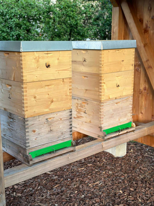 Gut gefüllte Honigräume 🍯🐝