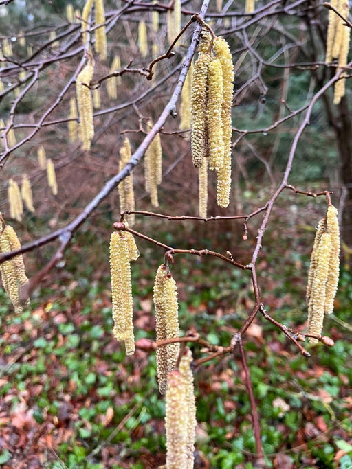 die ruhige Zeit Bild 1