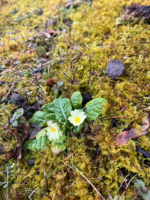 die ruhige Zeit Bild 2