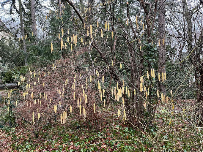 die ruhige Zeit Bild 3