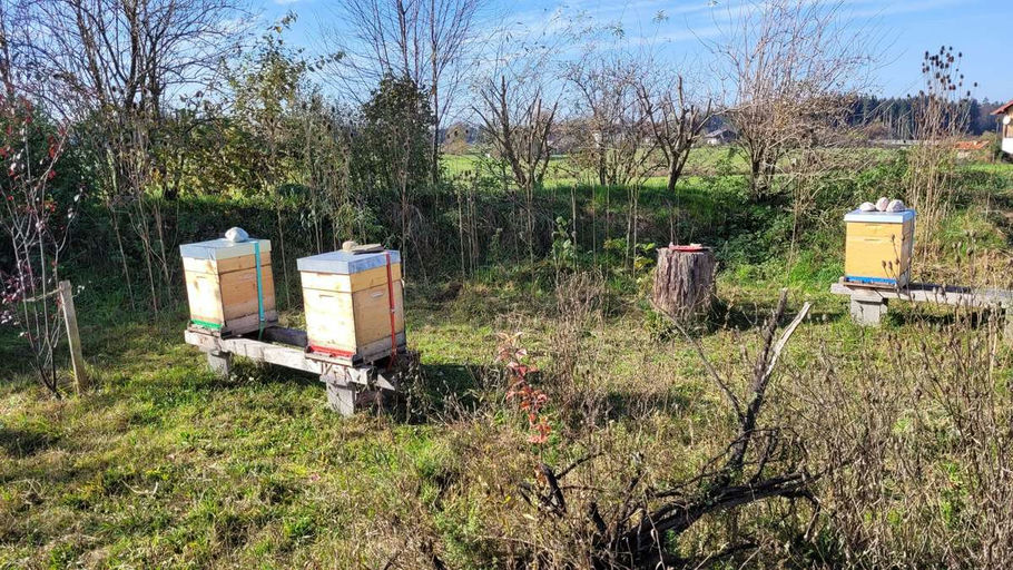 Wintervorbereitung ❄️🐝☃️