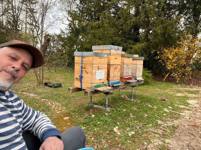 Honigzargen so früh wie noch nie