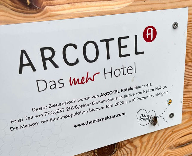 Fleißige Bienen im warmen Herbst