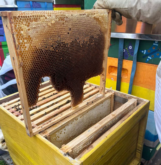 Kurz nicht aufgepasst