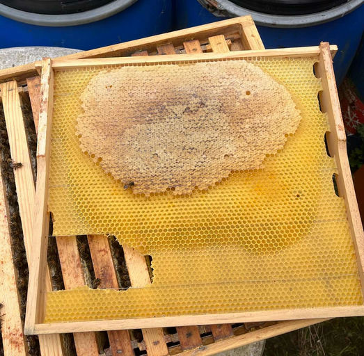 Kurz nicht aufgepasst Bild 1