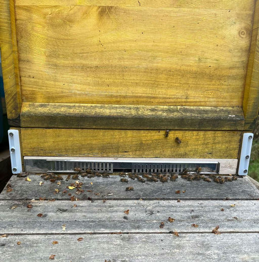 Kurz nicht aufgepasst Bild 2