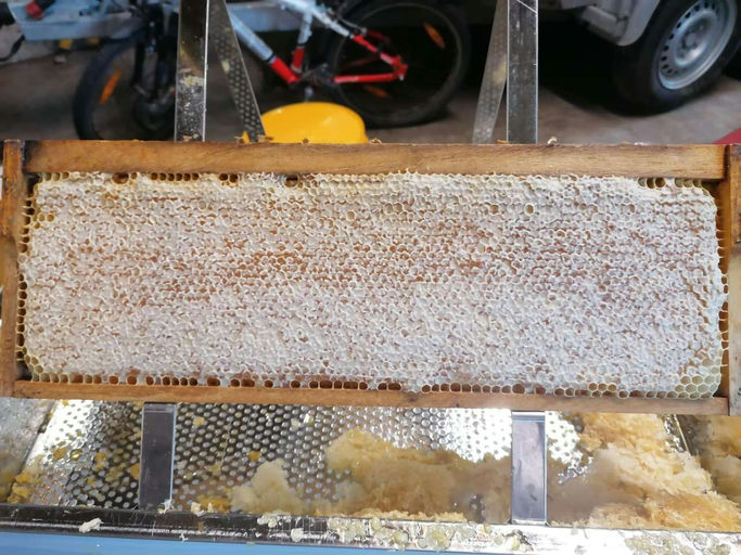 Honig schleudern Bild 1