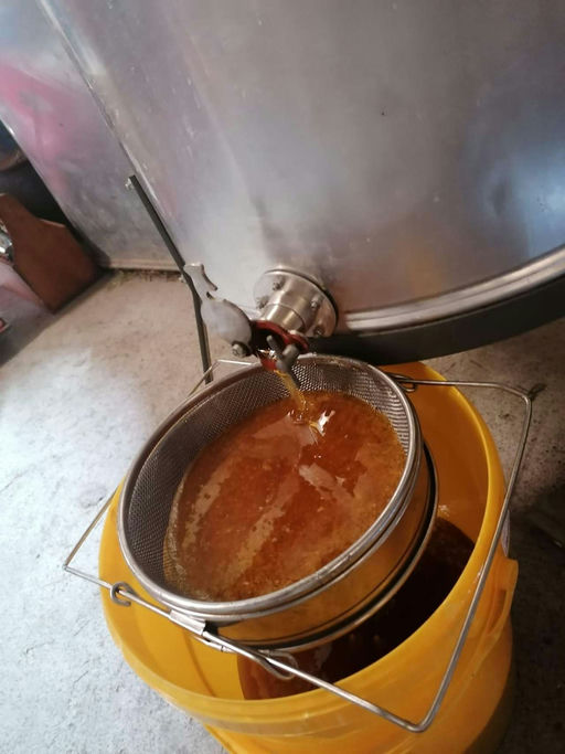 Honig schleudern Bild 2